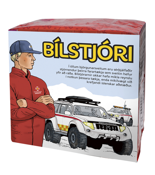 Bílstjóri